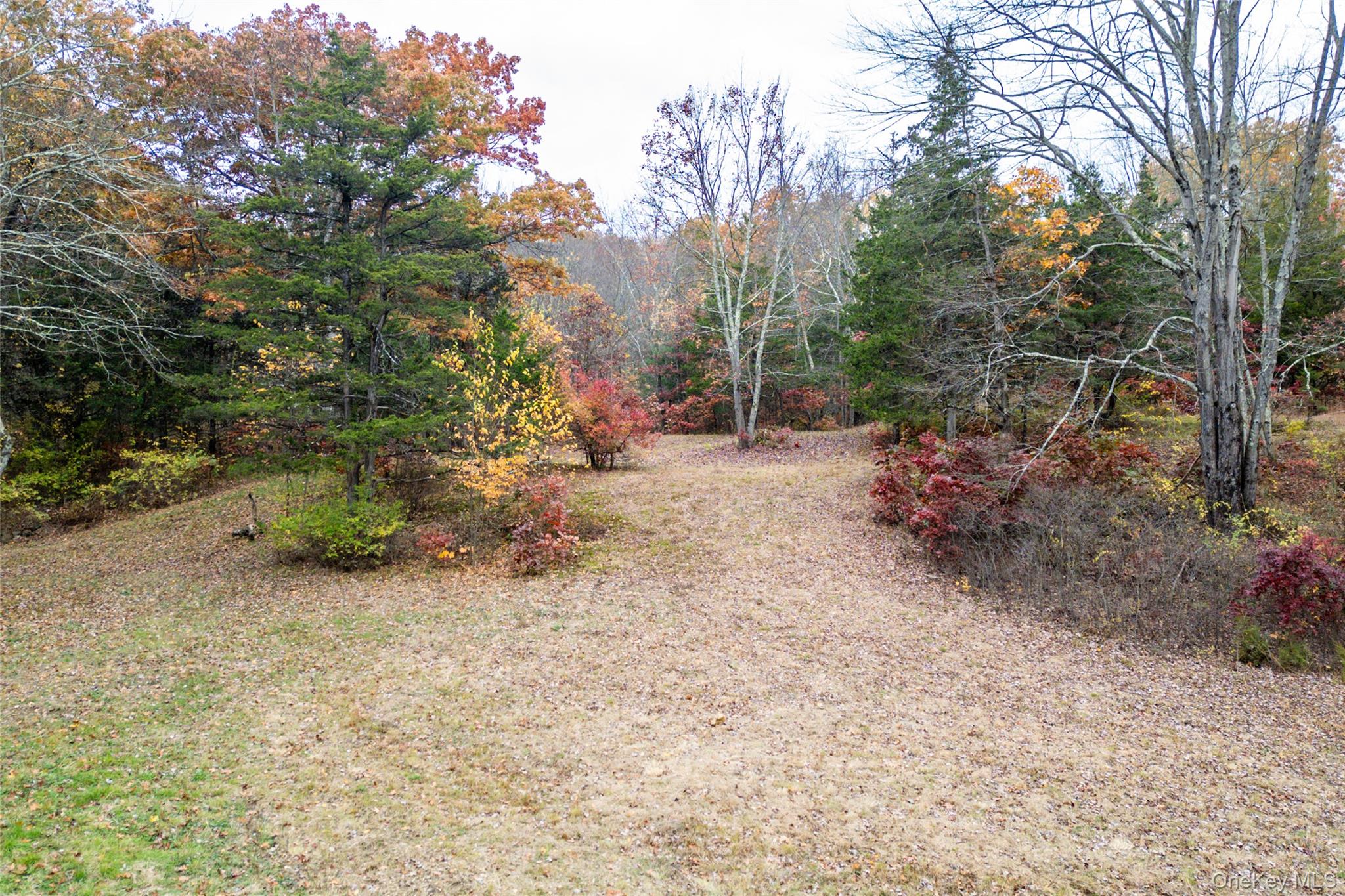 0 N. Quaker Lane Property Photo 1