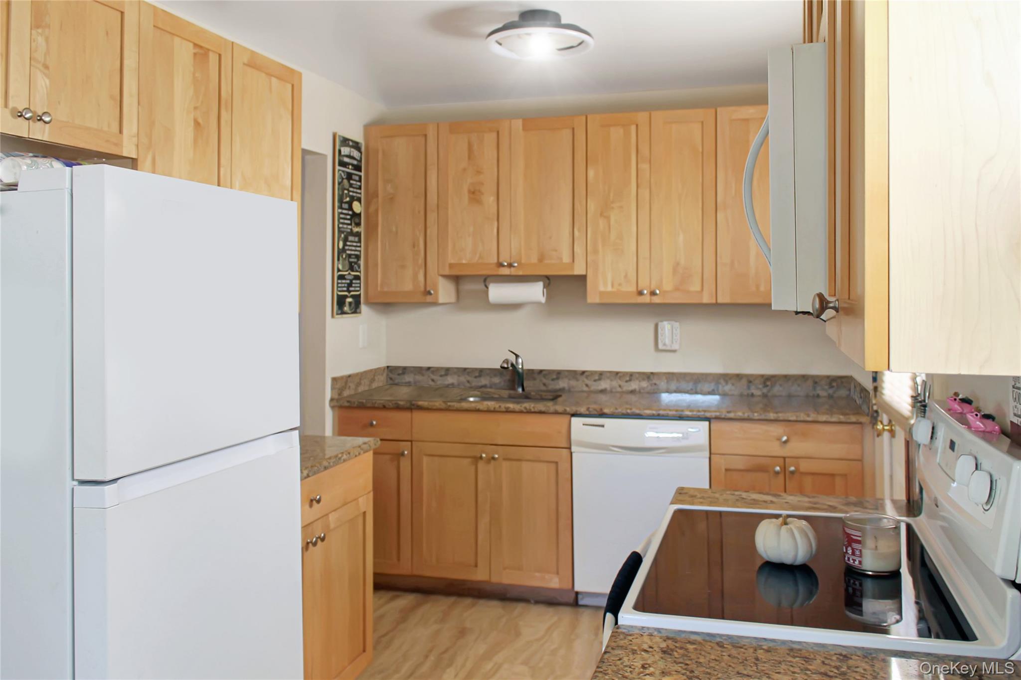 234 Nassau Boulevard Property Photo 6