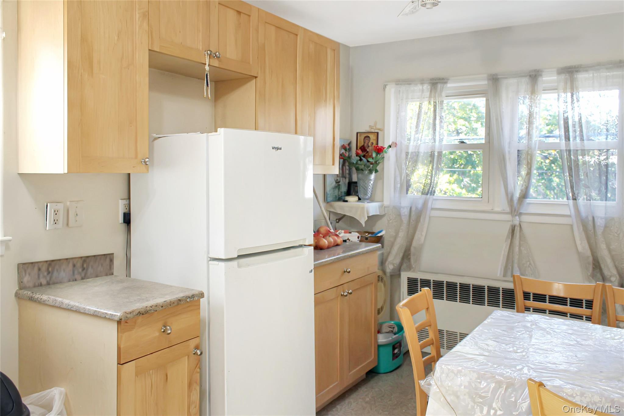 234 Nassau Boulevard Property Photo 13