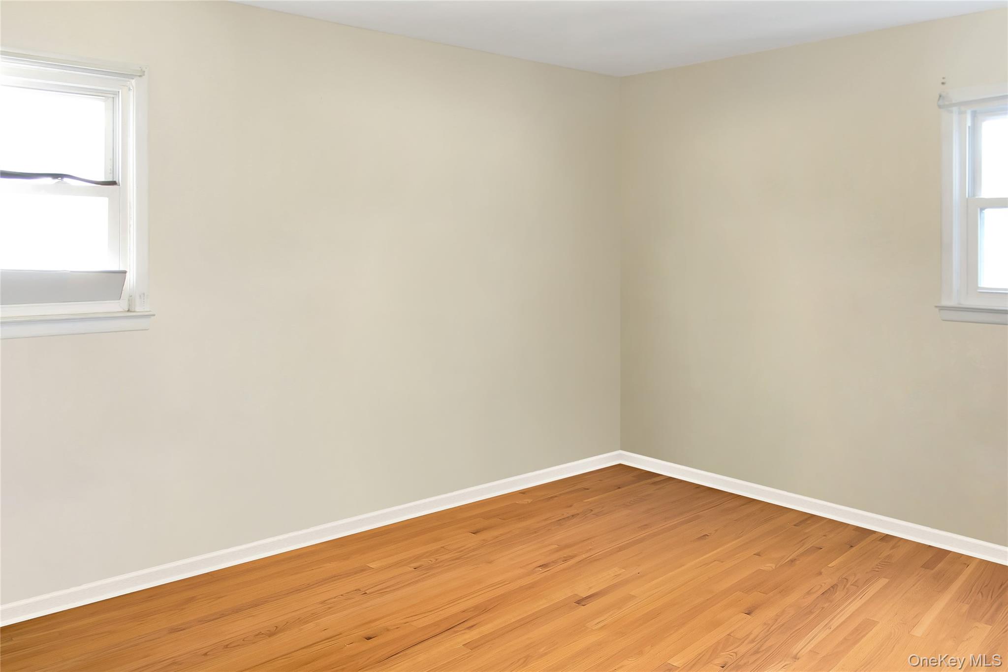 234 Nassau Boulevard Property Photo 15