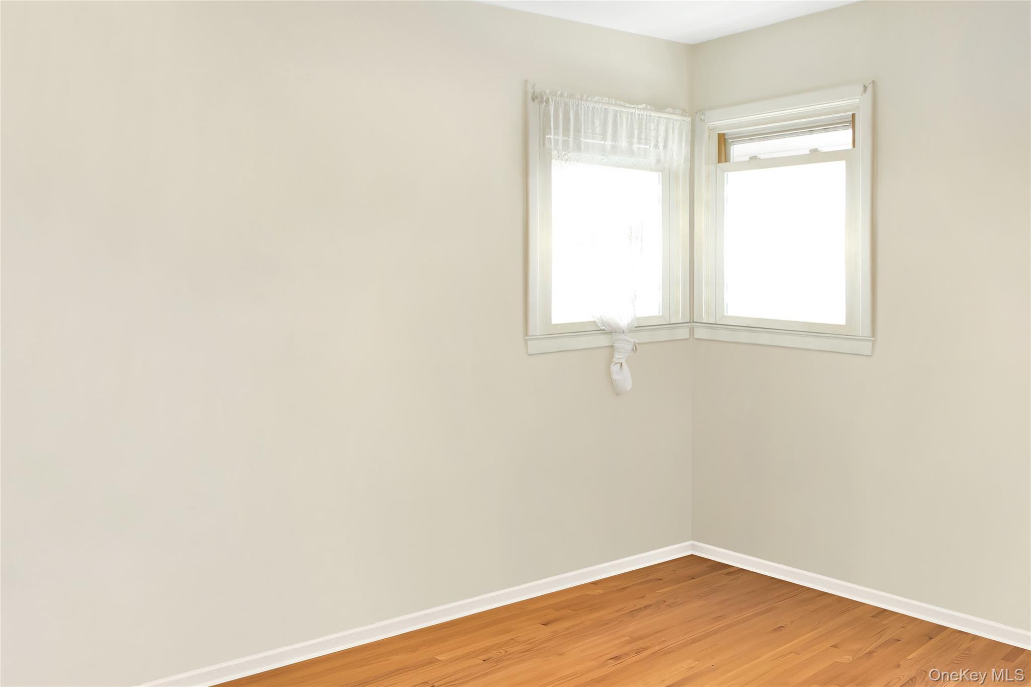 234 Nassau Boulevard Property Photo 16
