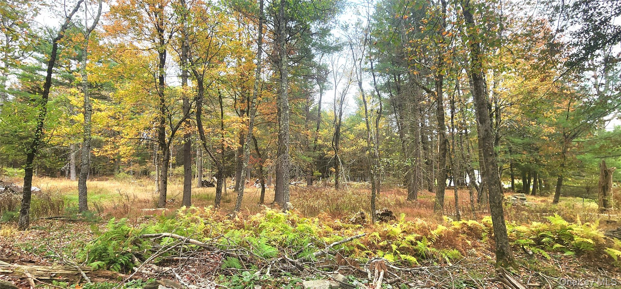 Kukas Road Property Photo 1