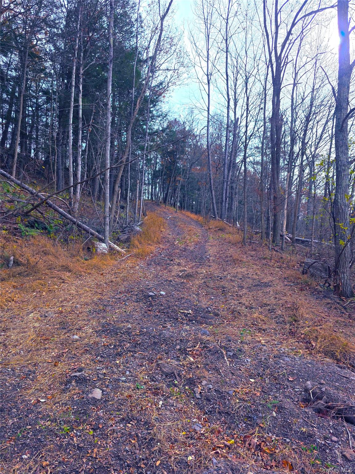 0 County Route 41 Property Photo 5