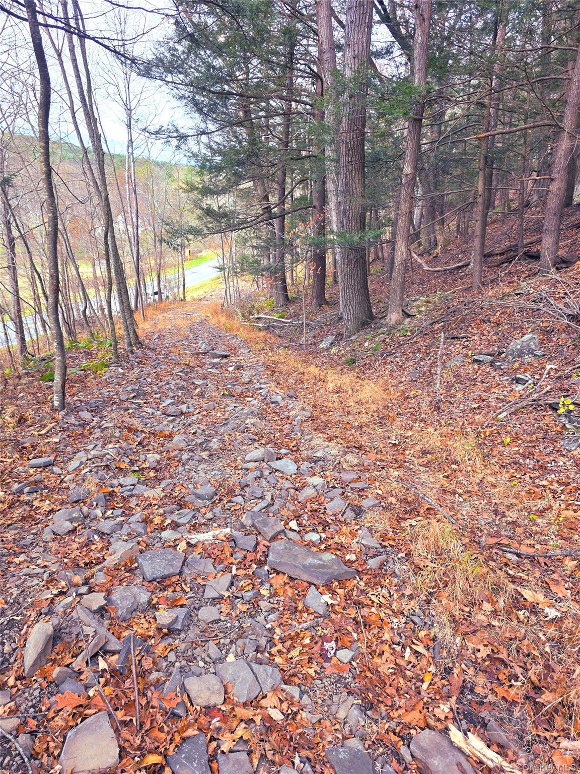 0 County Route 41 Property Photo 6