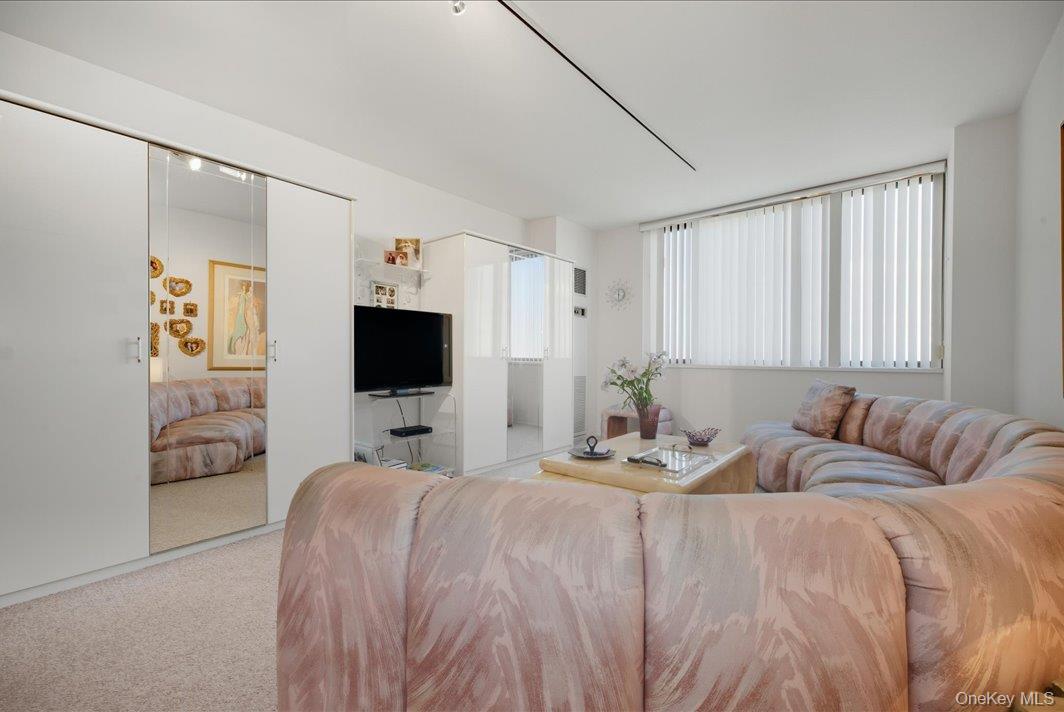 27010 Grand Central Parkway 21m Property Photo 5