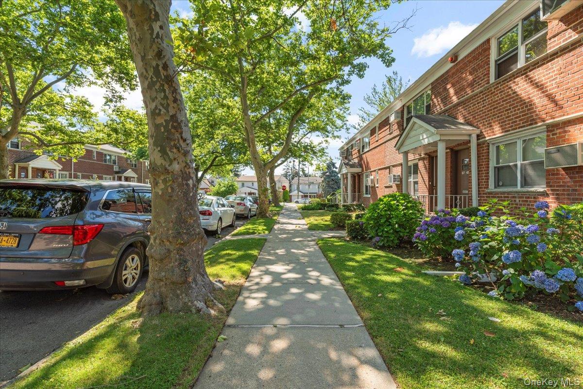 87-44 Marengo Street 2a Property Photo 3