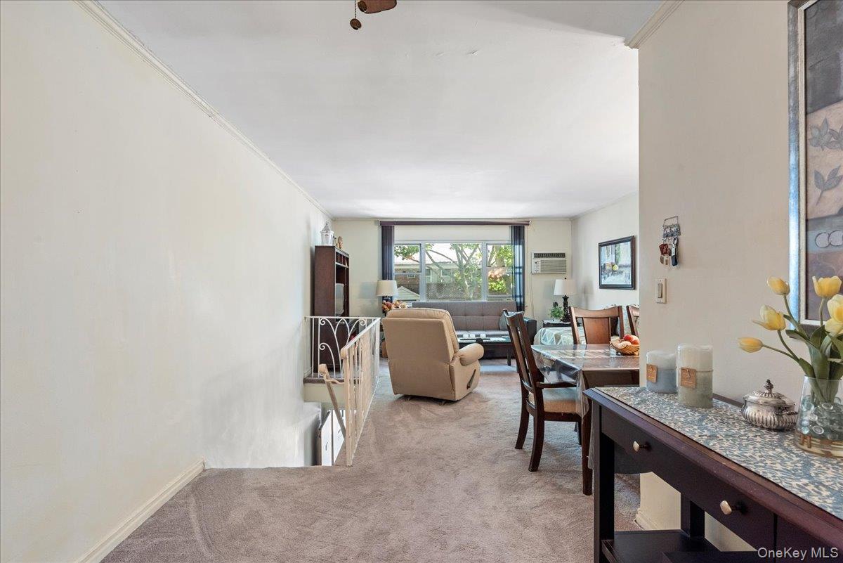 87-44 Marengo Street 2a Property Photo 12
