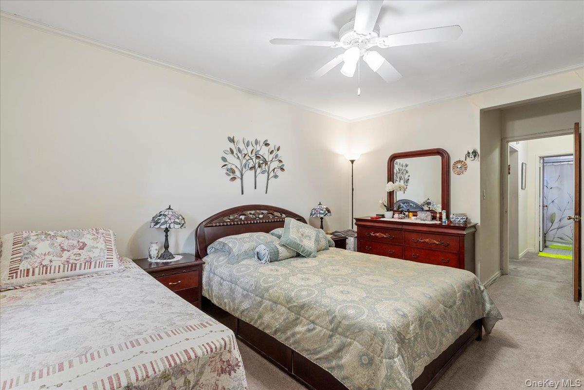 87-44 Marengo Street 2a Property Photo 15
