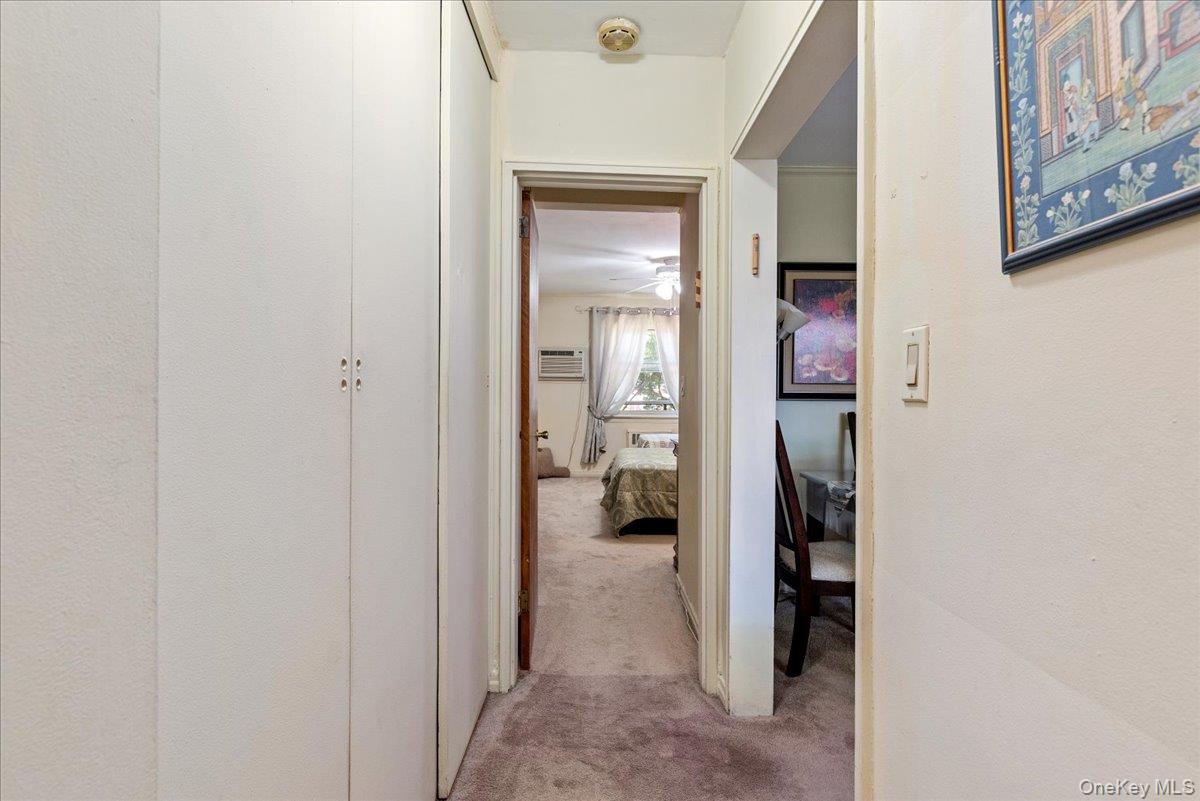 87-44 Marengo Street 2a Property Photo 16