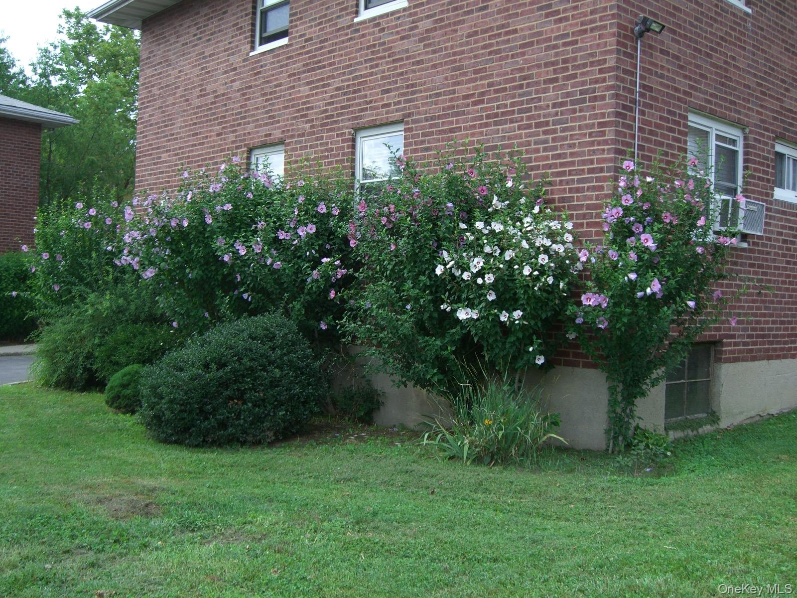 48 Dehaven 2e Property Photo 12