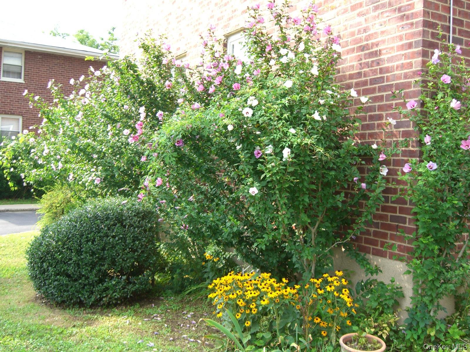 48 Dehaven 2e Property Photo 13