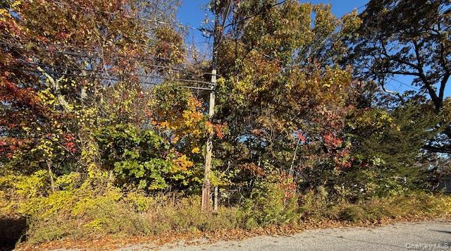 48 Newton Boulevard Property Photo 1