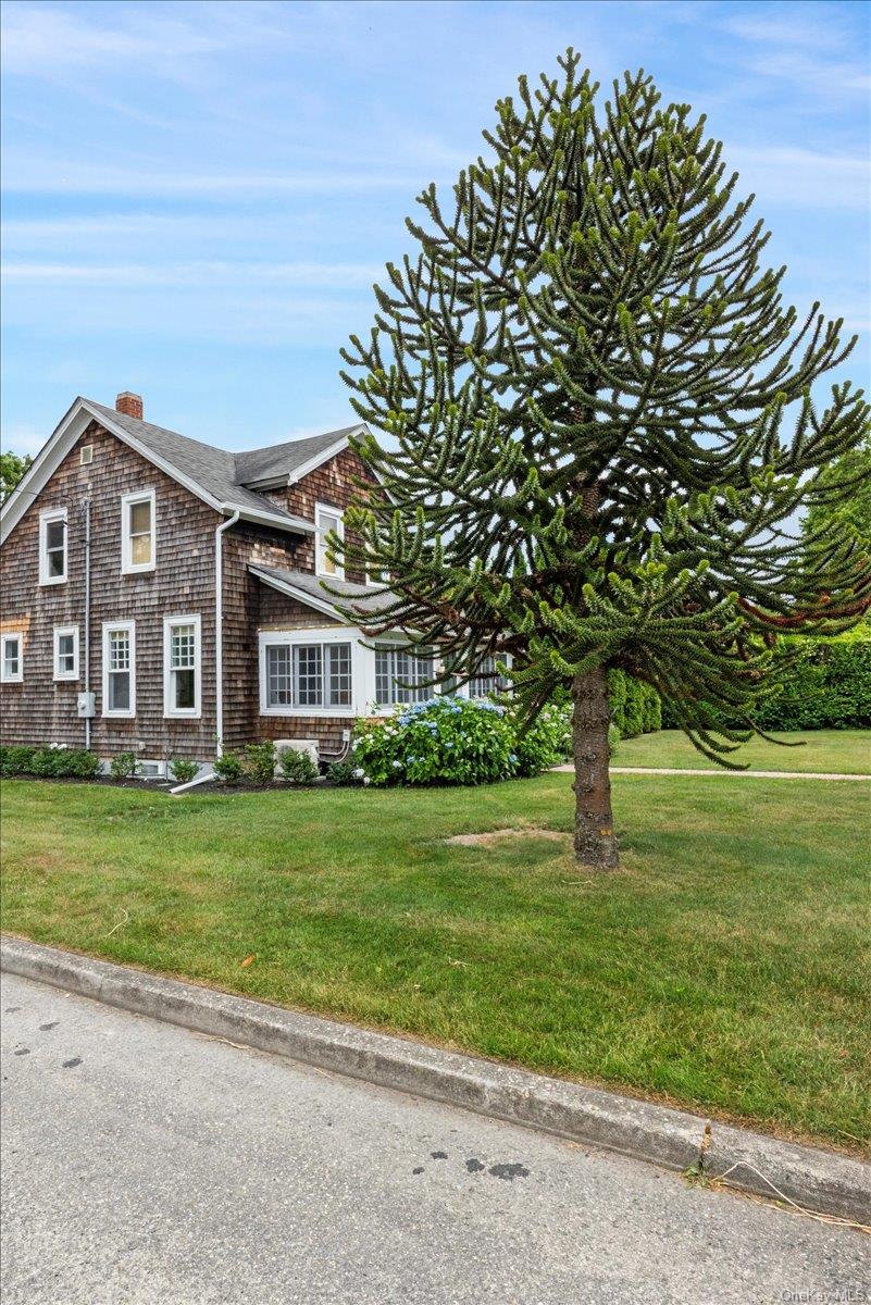 19 New Jersey Avenue Property Photo 6