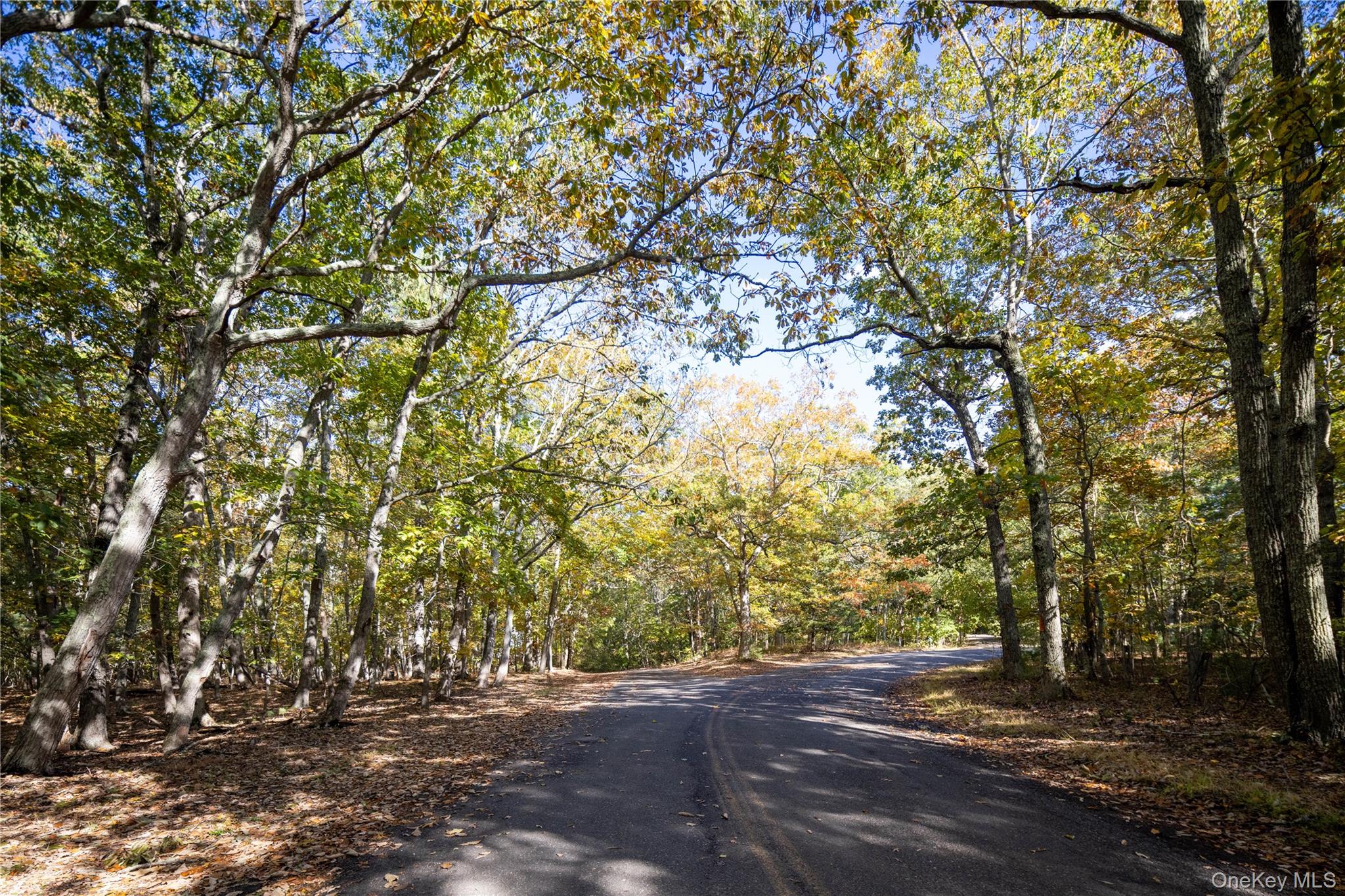11195 N Bayview Road Property Photo 6