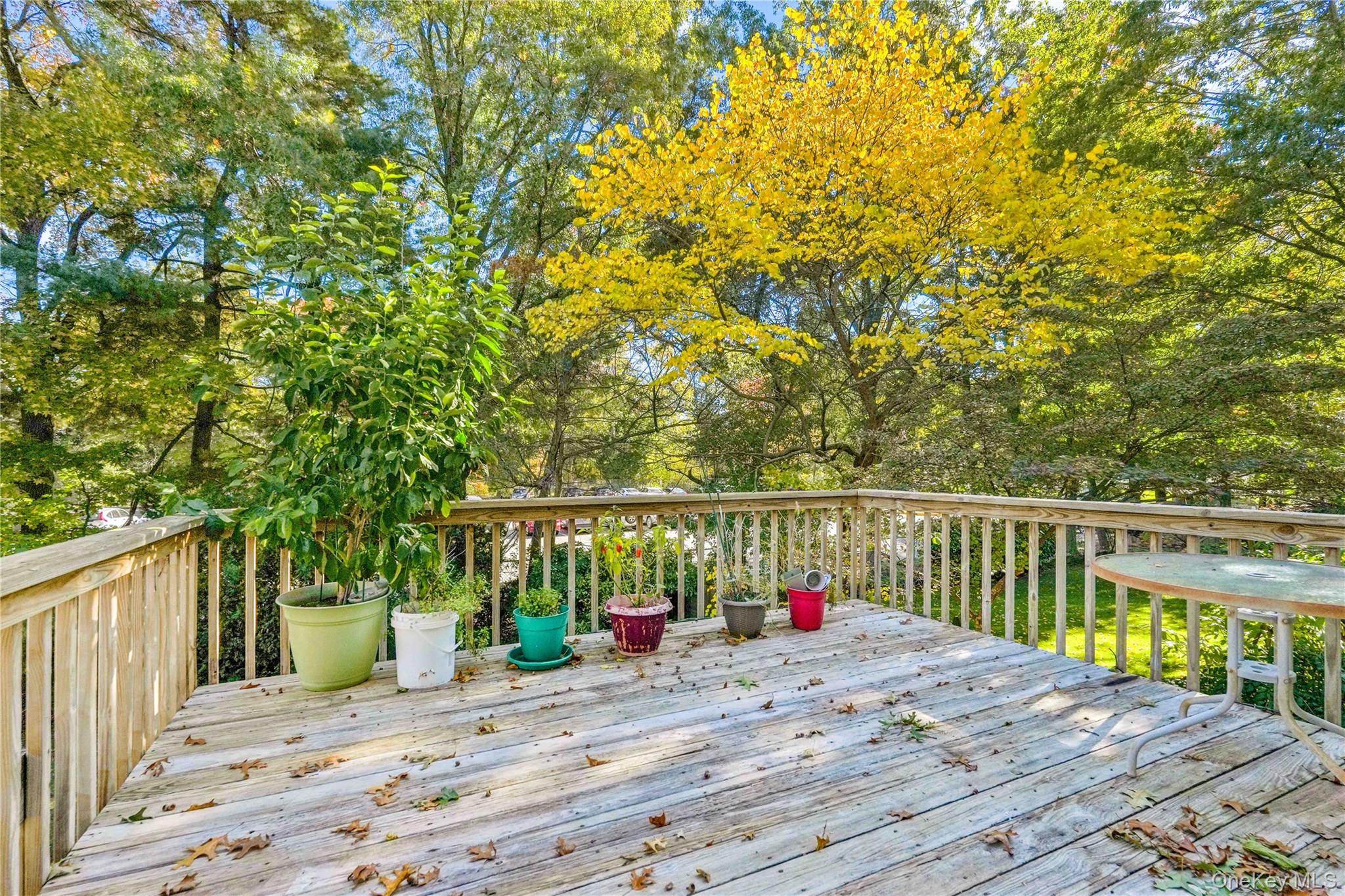 303 Nassau Boulevard Property Photo 12