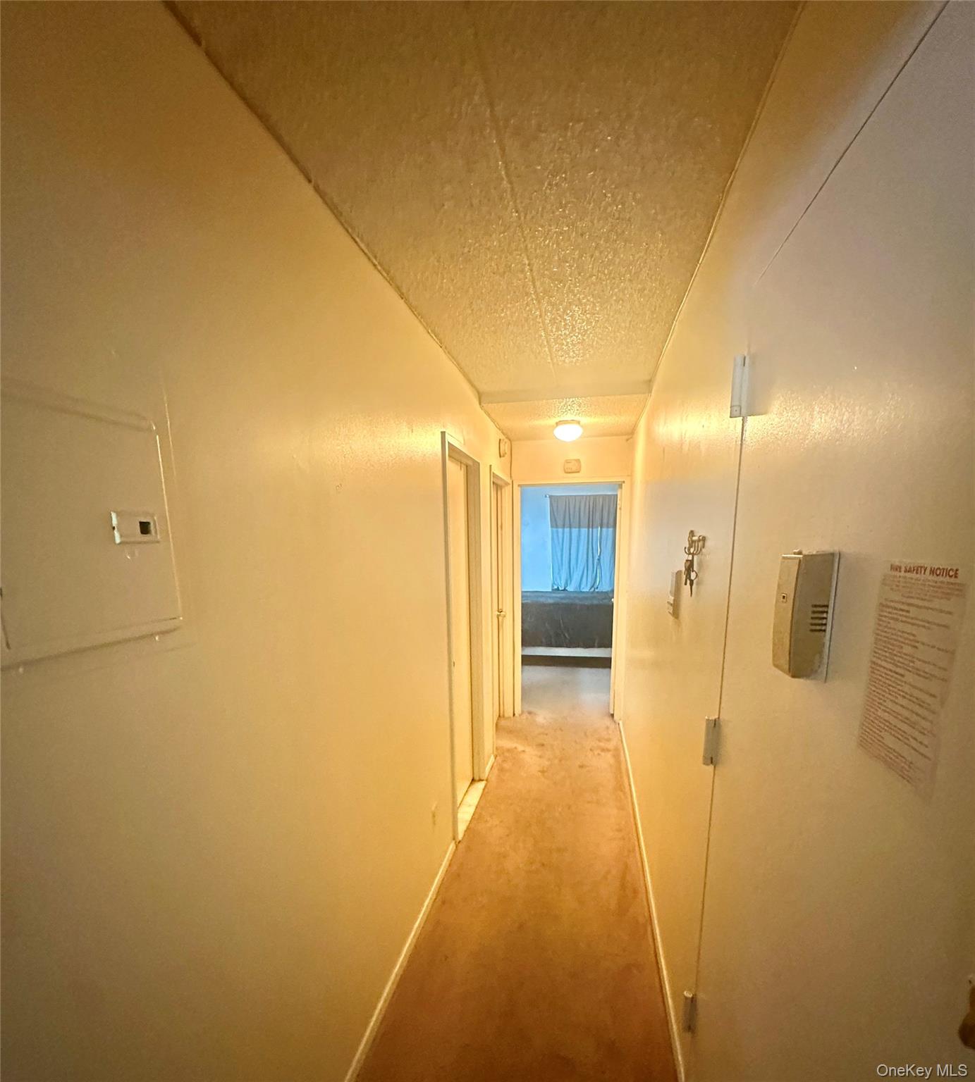 29 Adrian Avenue A5 Property Photo 10
