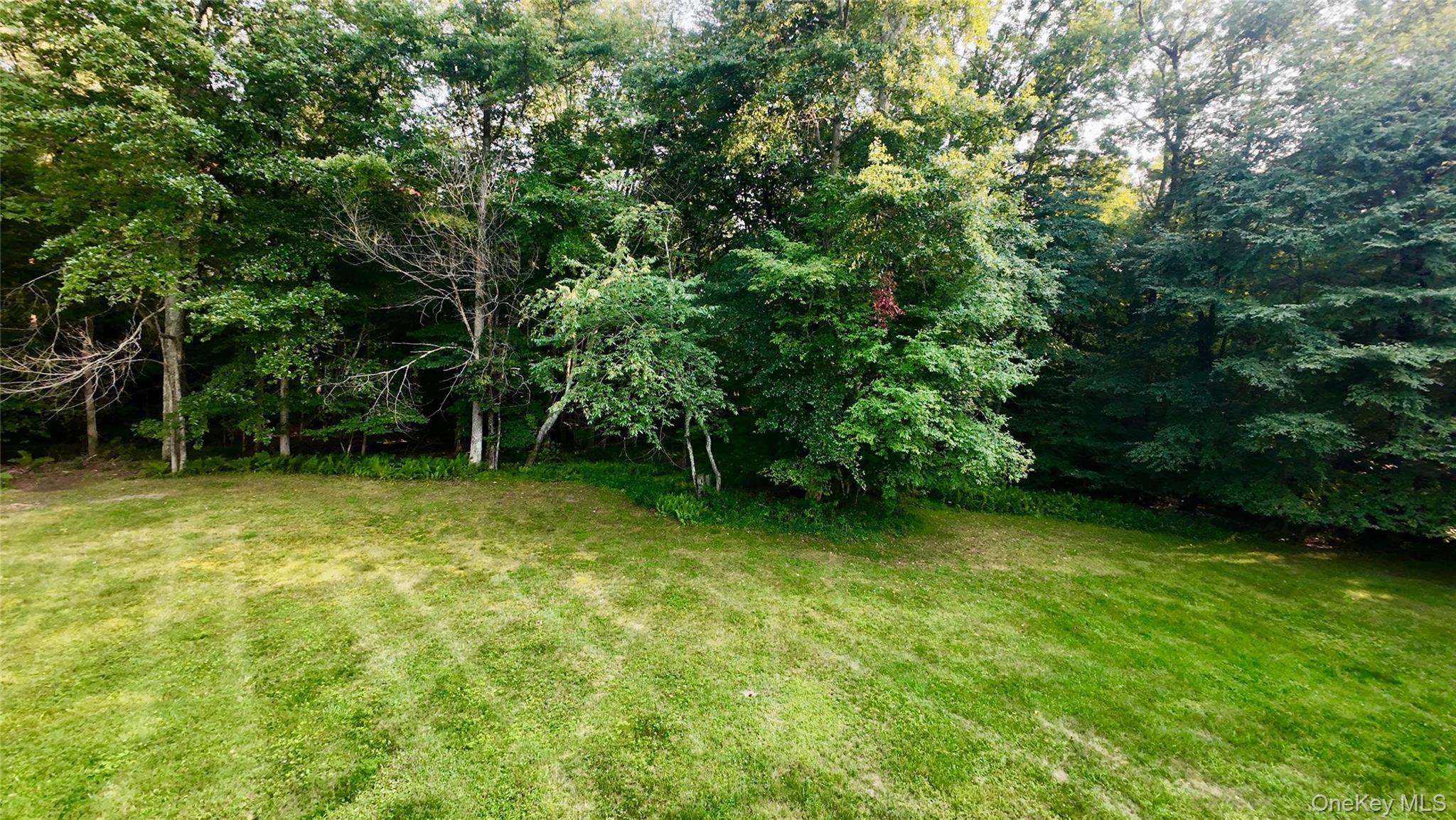 109 White Birch Lane Property Photo 5