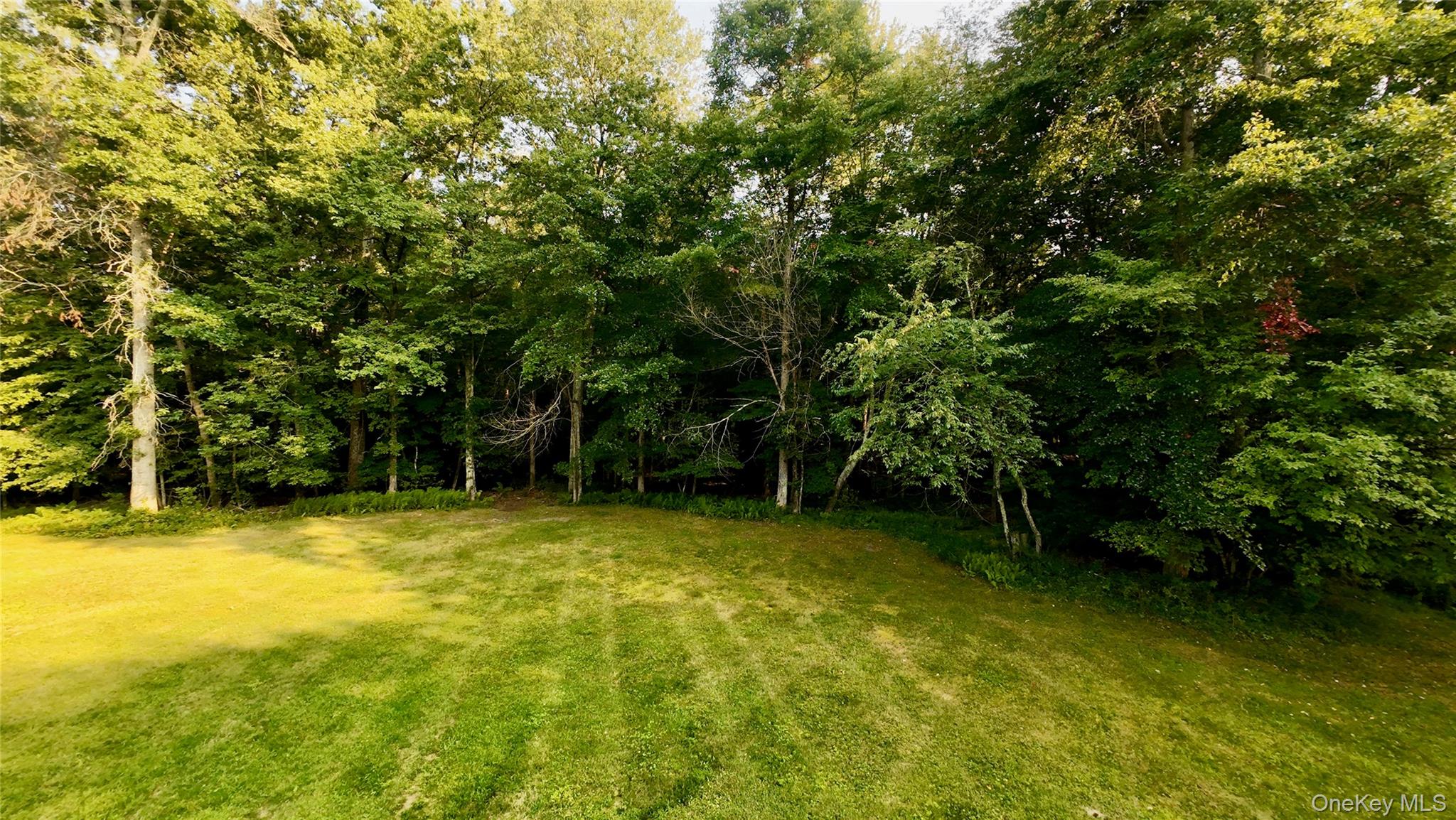 109 White Birch Lane Property Photo 6