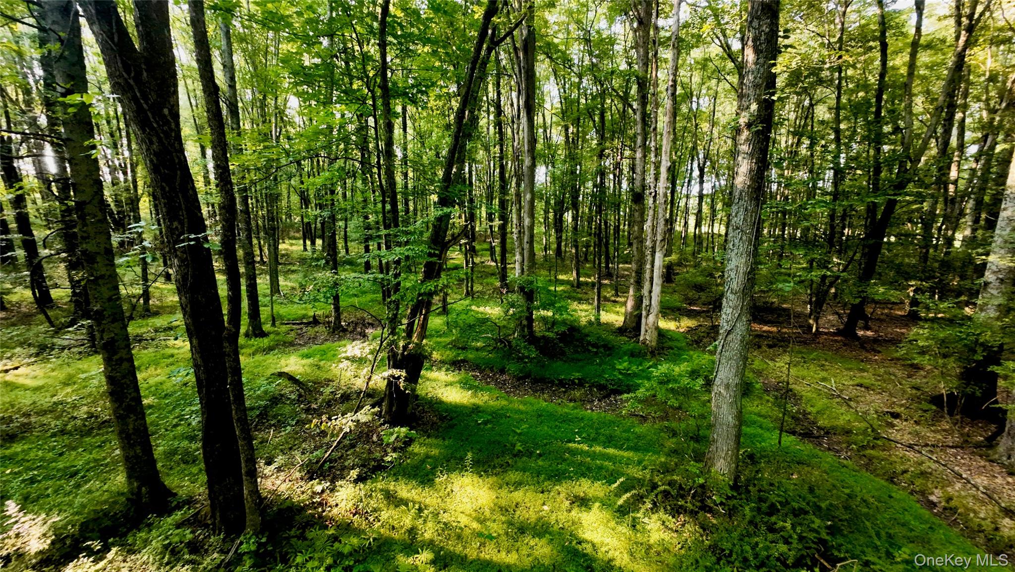 109 White Birch Lane Property Photo 8