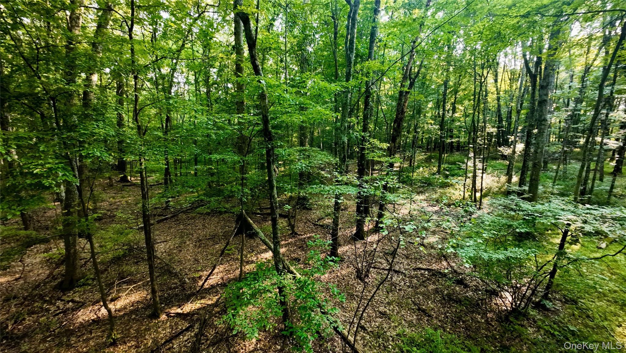 109 White Birch Lane Property Photo 10