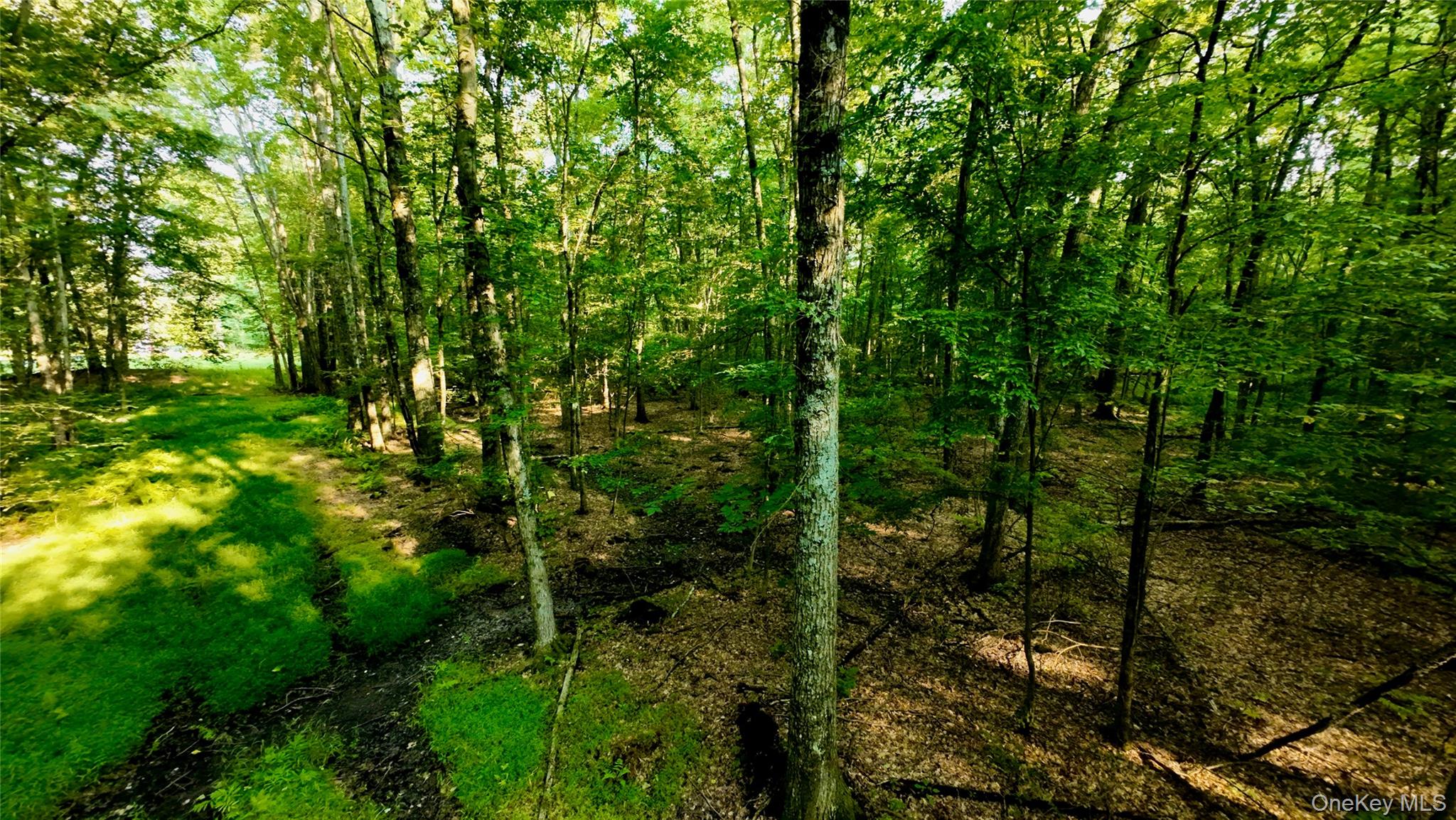 109 White Birch Lane Property Photo 11