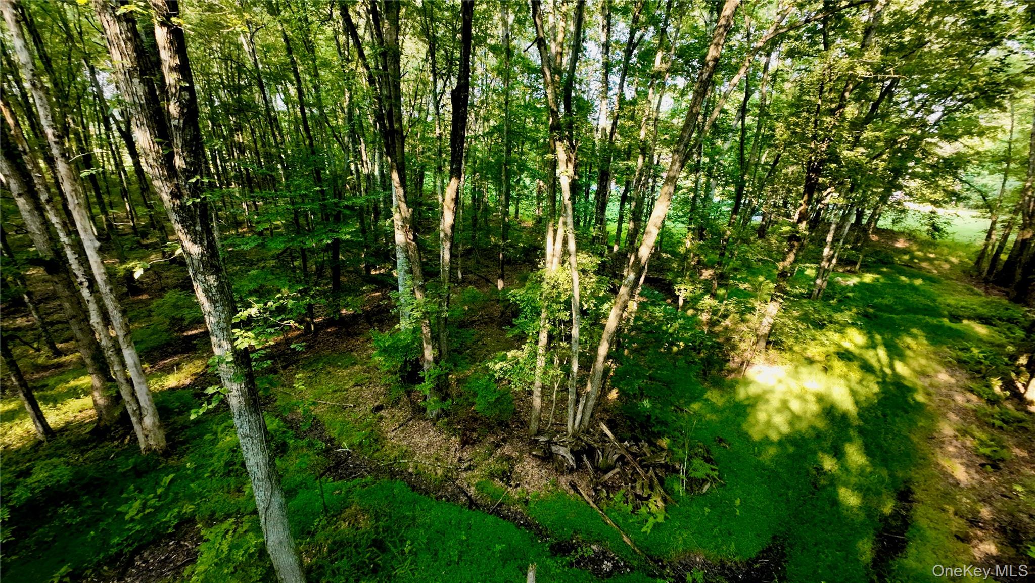 109 White Birch Lane Property Photo 12