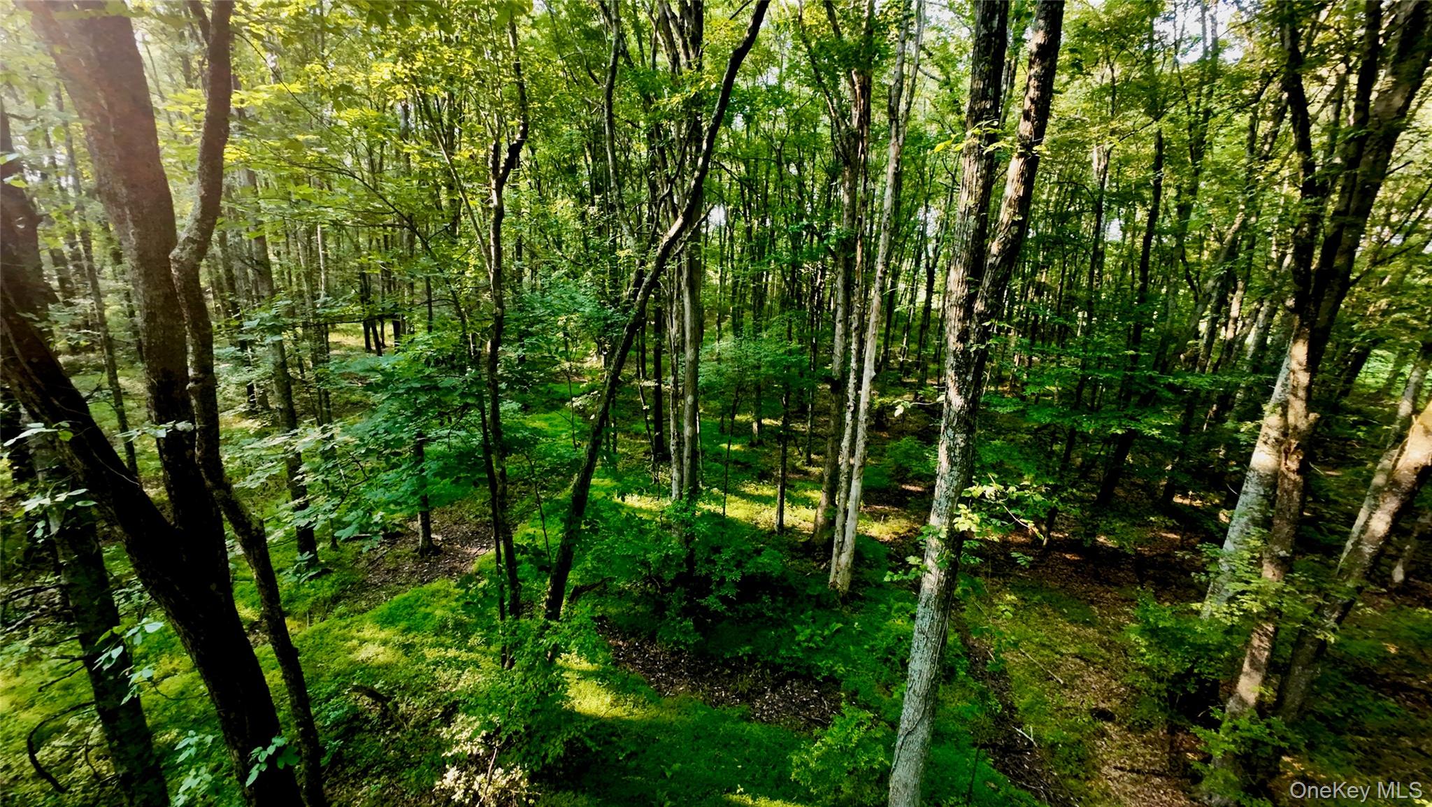 109 White Birch Lane Property Photo 13