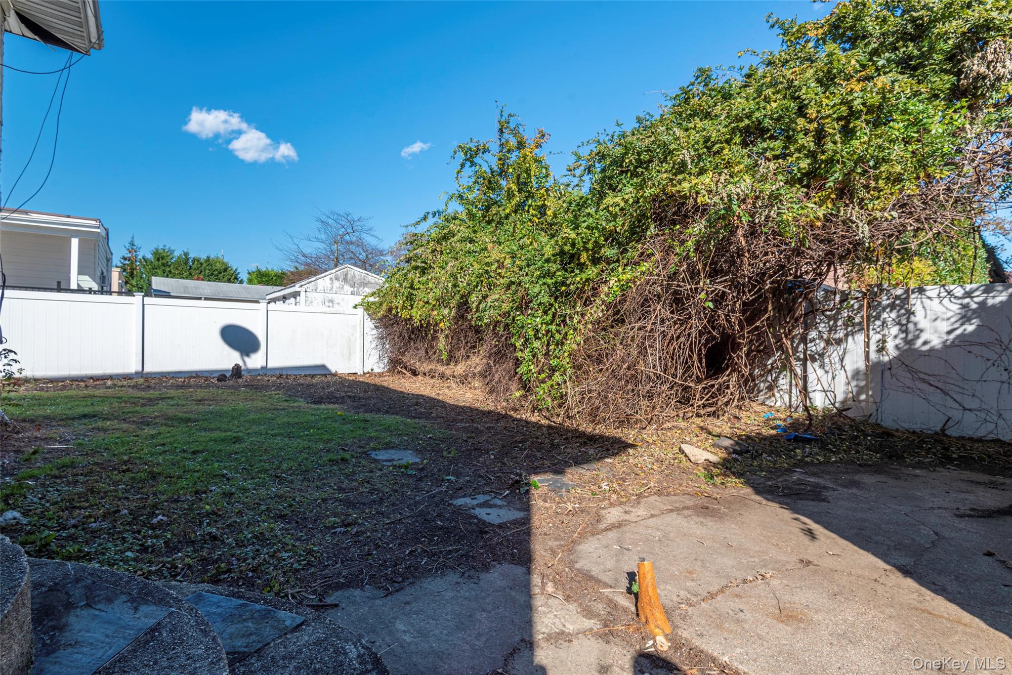 43 Wynsum Avenue Property Photo 15