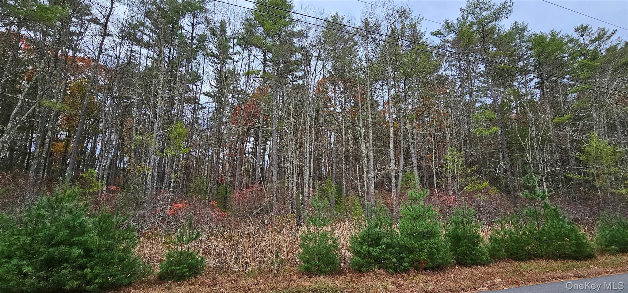 Lot 28 Summit Drive Property Photo 1