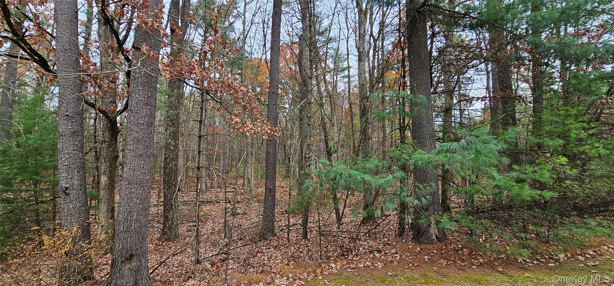 Lot 28 Summit Drive Property Photo 3
