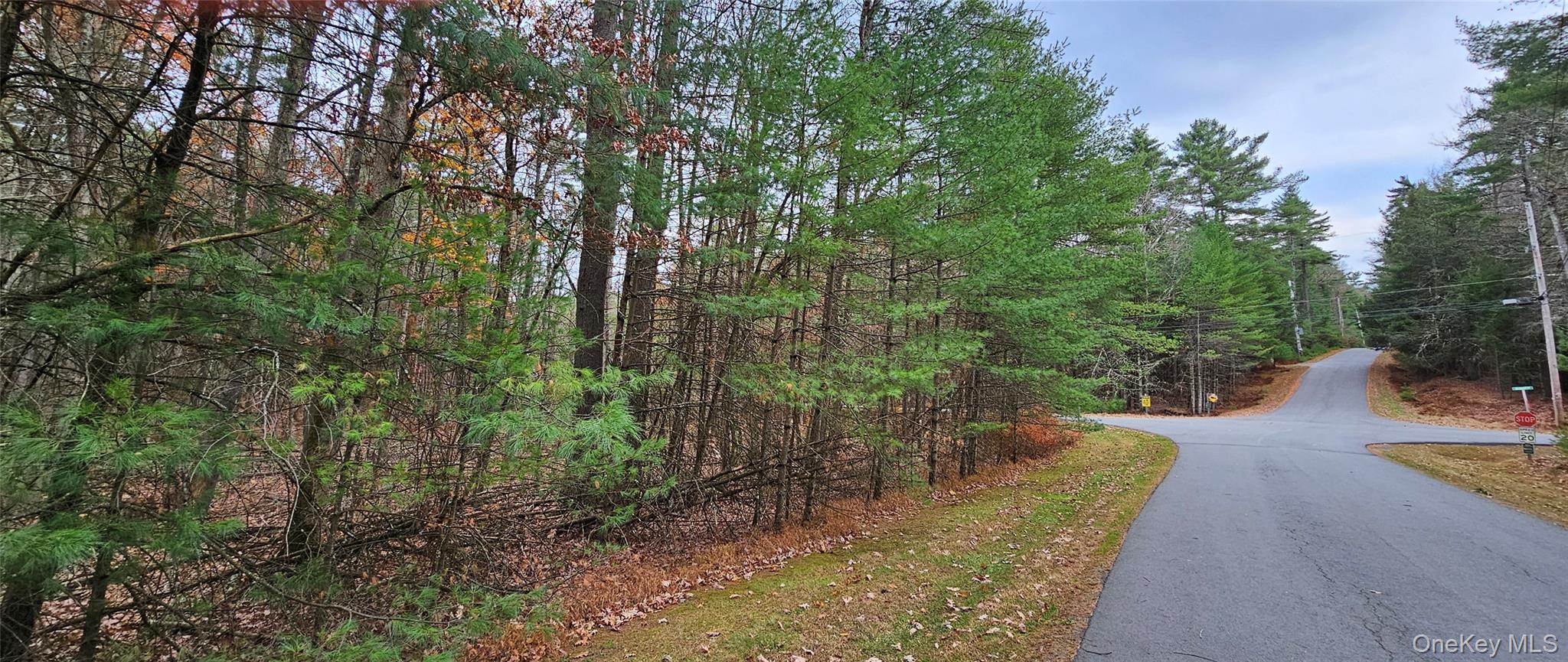 Lot 28 Summit Drive Property Photo 4