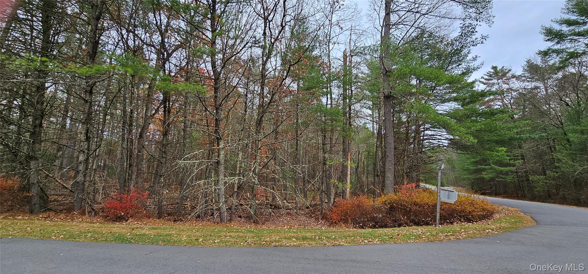 Lot 28 Summit Drive Property Photo 5