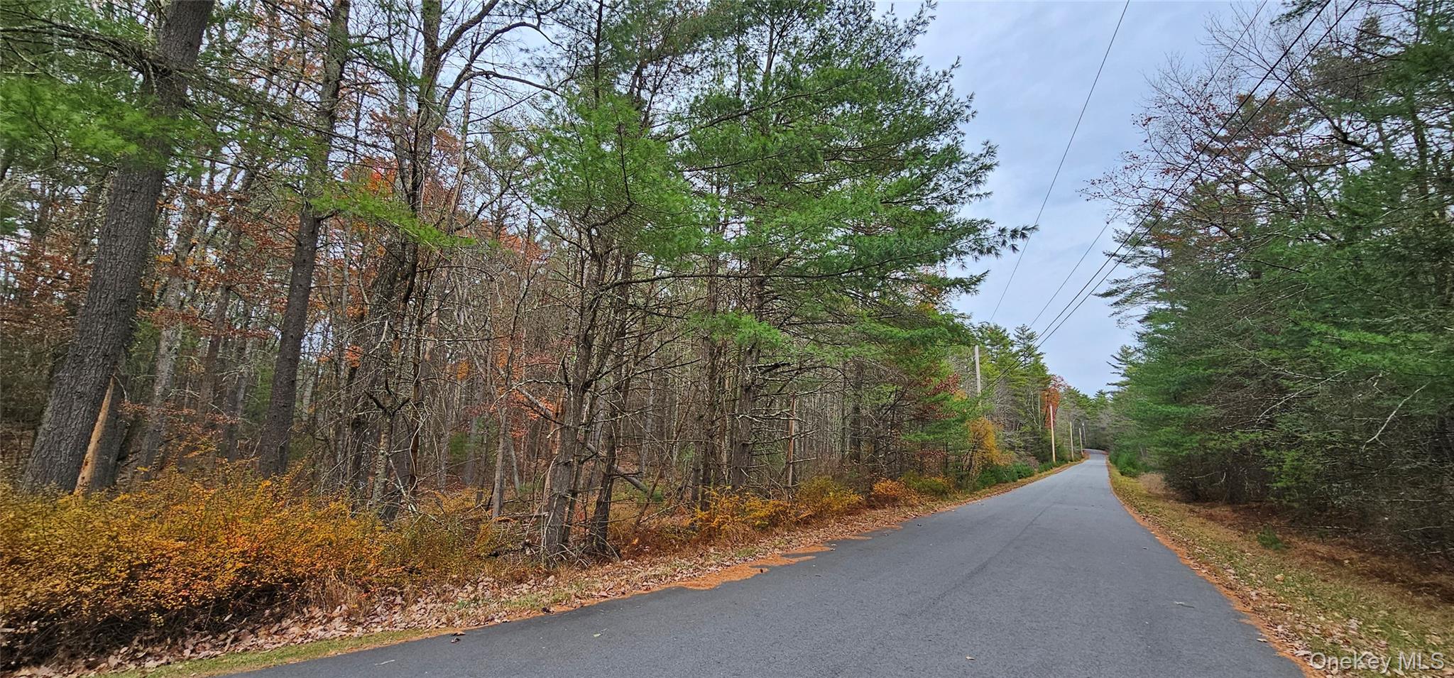 Lot 28 Summit Drive Property Photo 6
