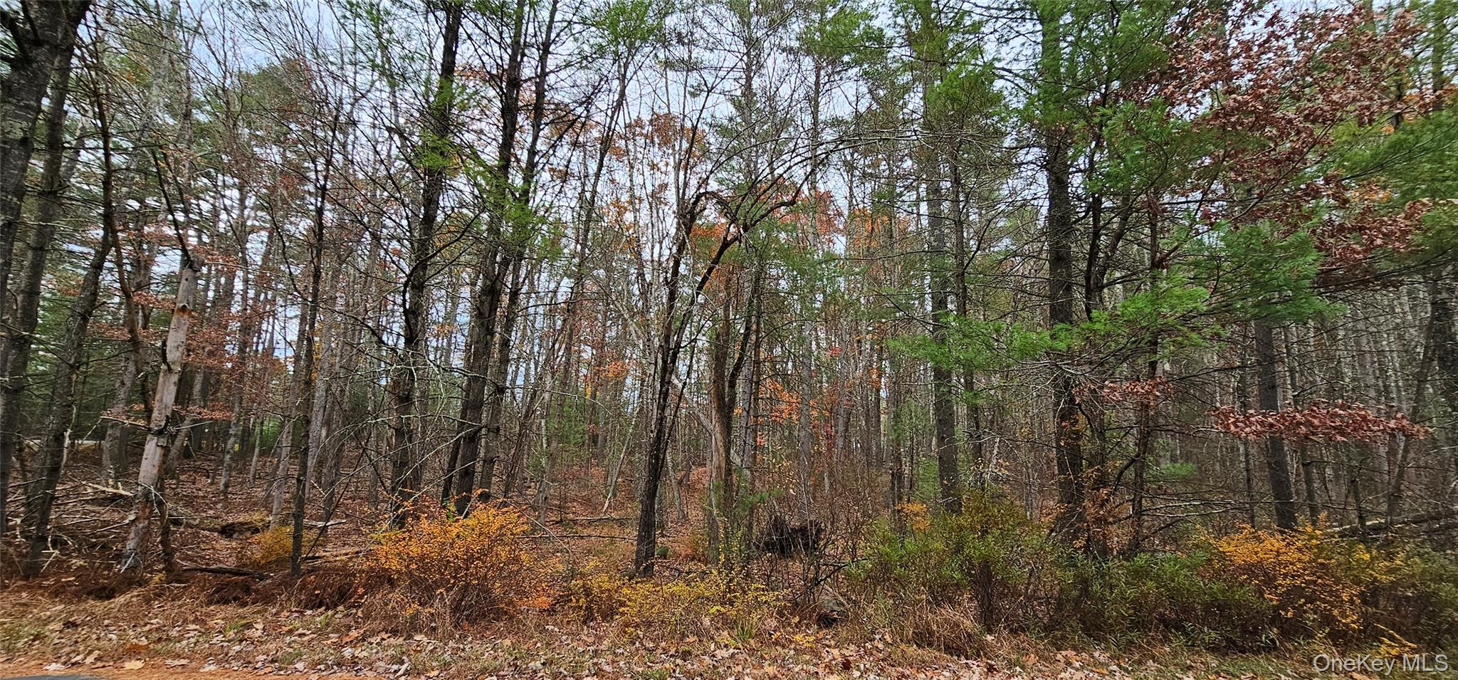 Lot 28 Summit Drive Property Photo 7