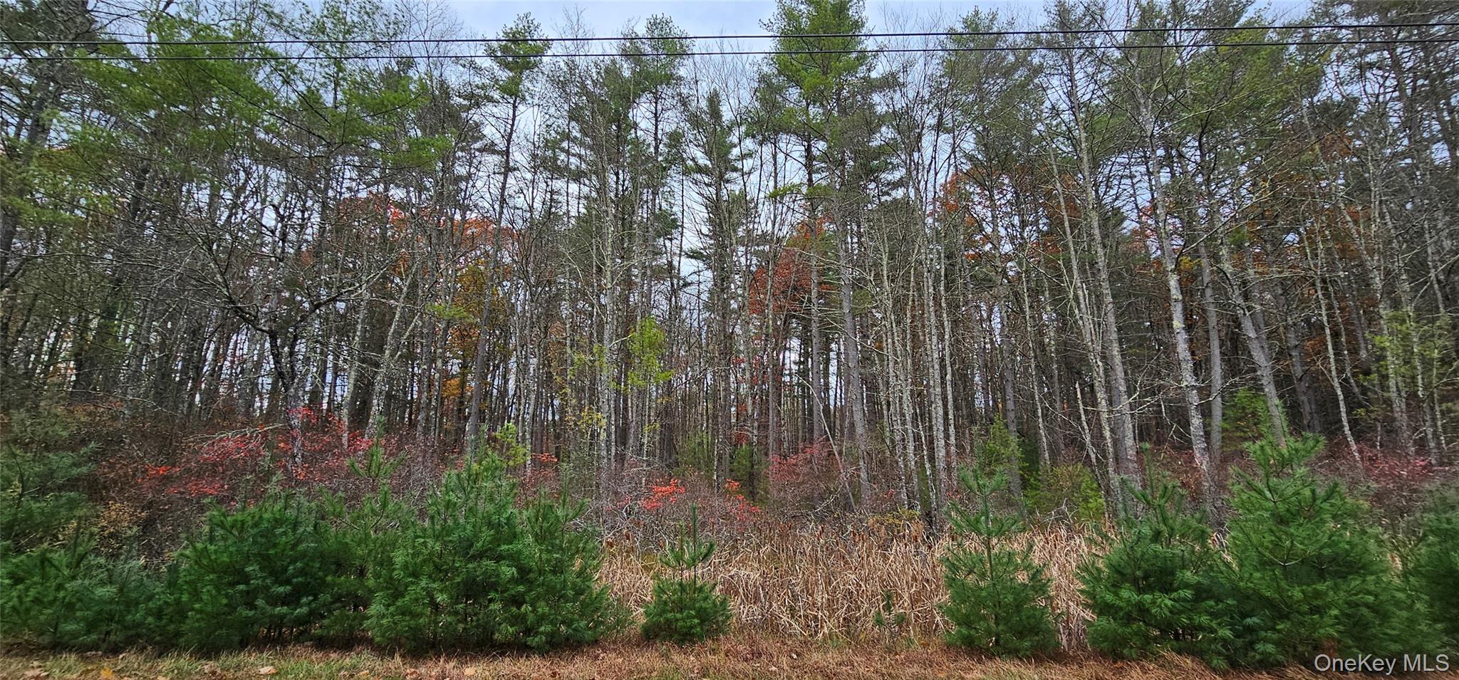 Lot 28 Summit Drive Property Photo 8