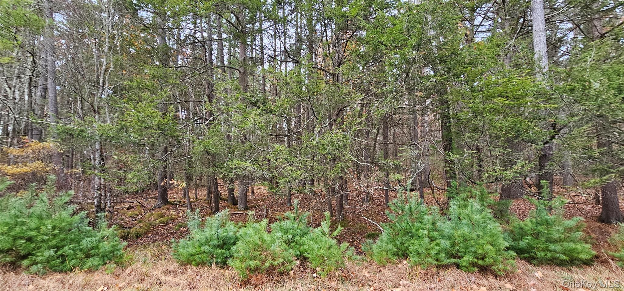 Lot 28 Summit Drive Property Photo 9