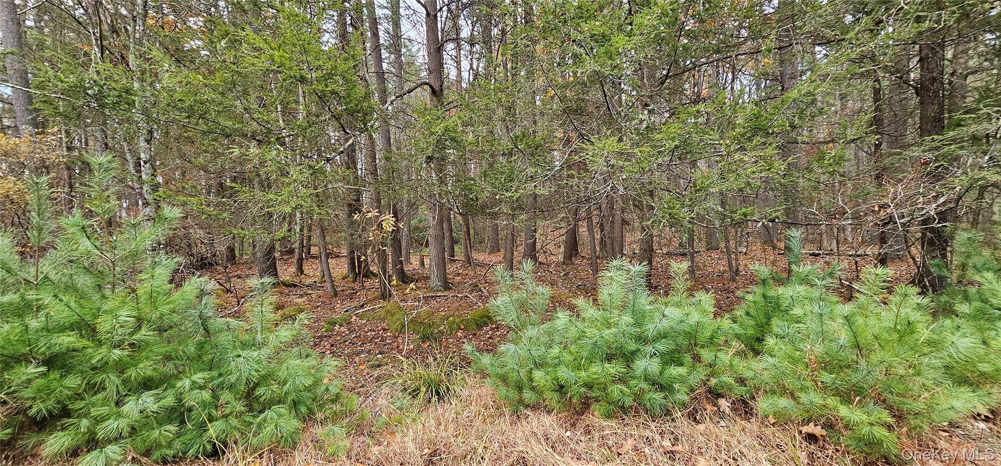 Lot 28 Summit Drive Property Photo 10