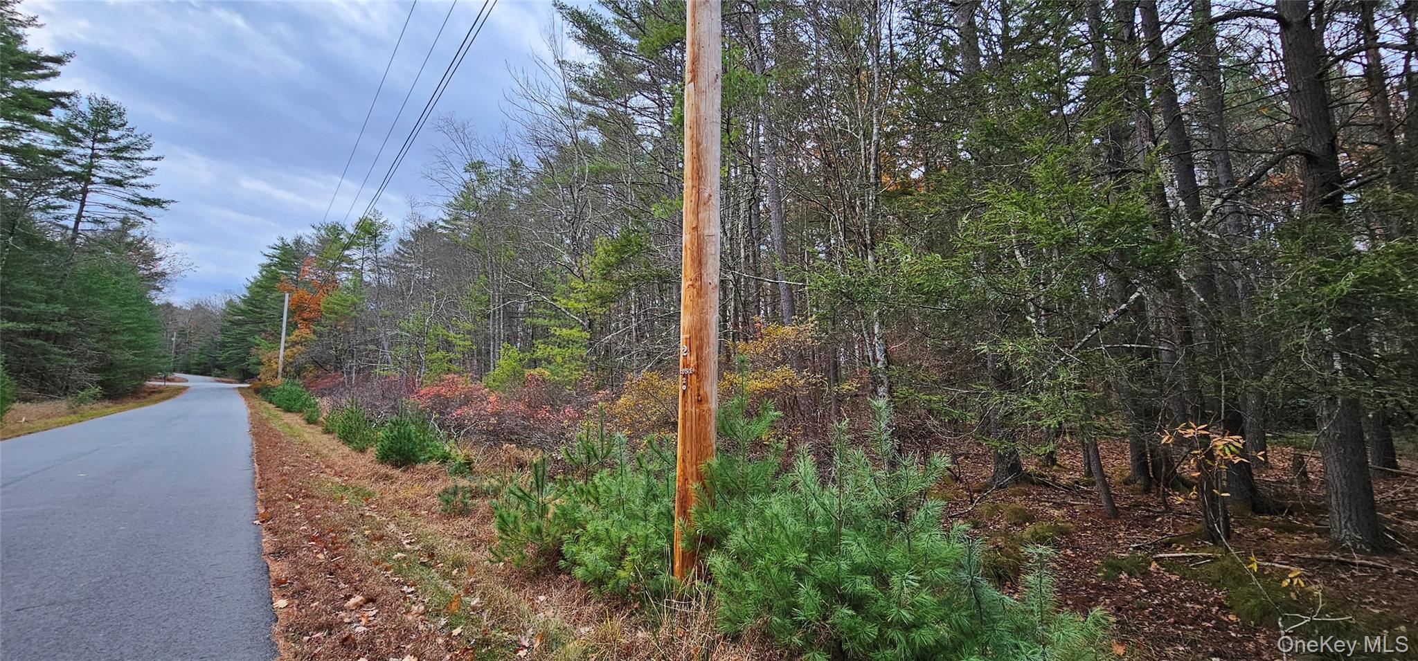 Lot 28 Summit Drive Property Photo 11