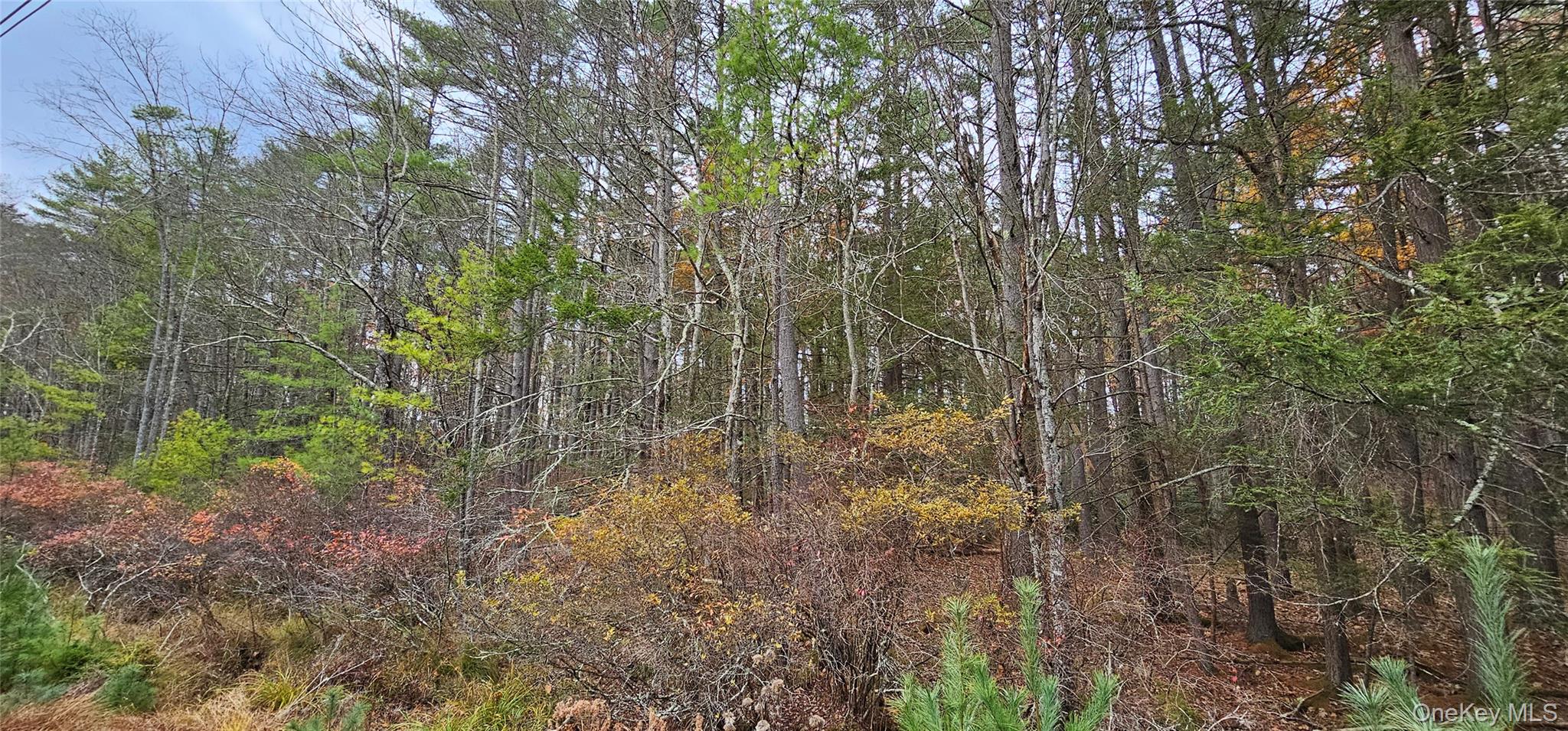 Lot 28 Summit Drive Property Photo 12