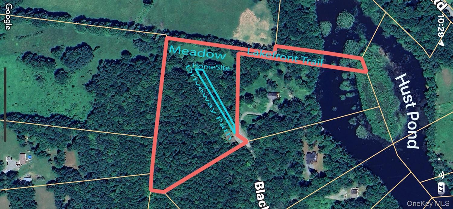 Blackberry Lake Road Property Photo 2