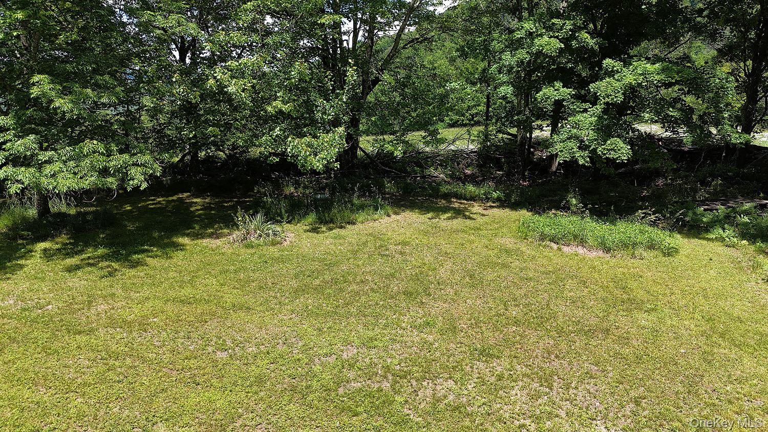 Blackberry Lake Road Property Photo 6