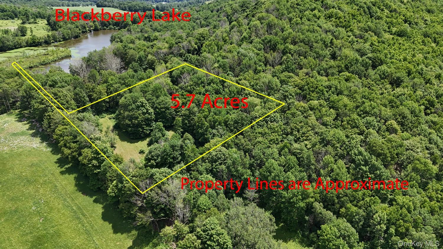 Blackberry Lake Road Property Photo 7