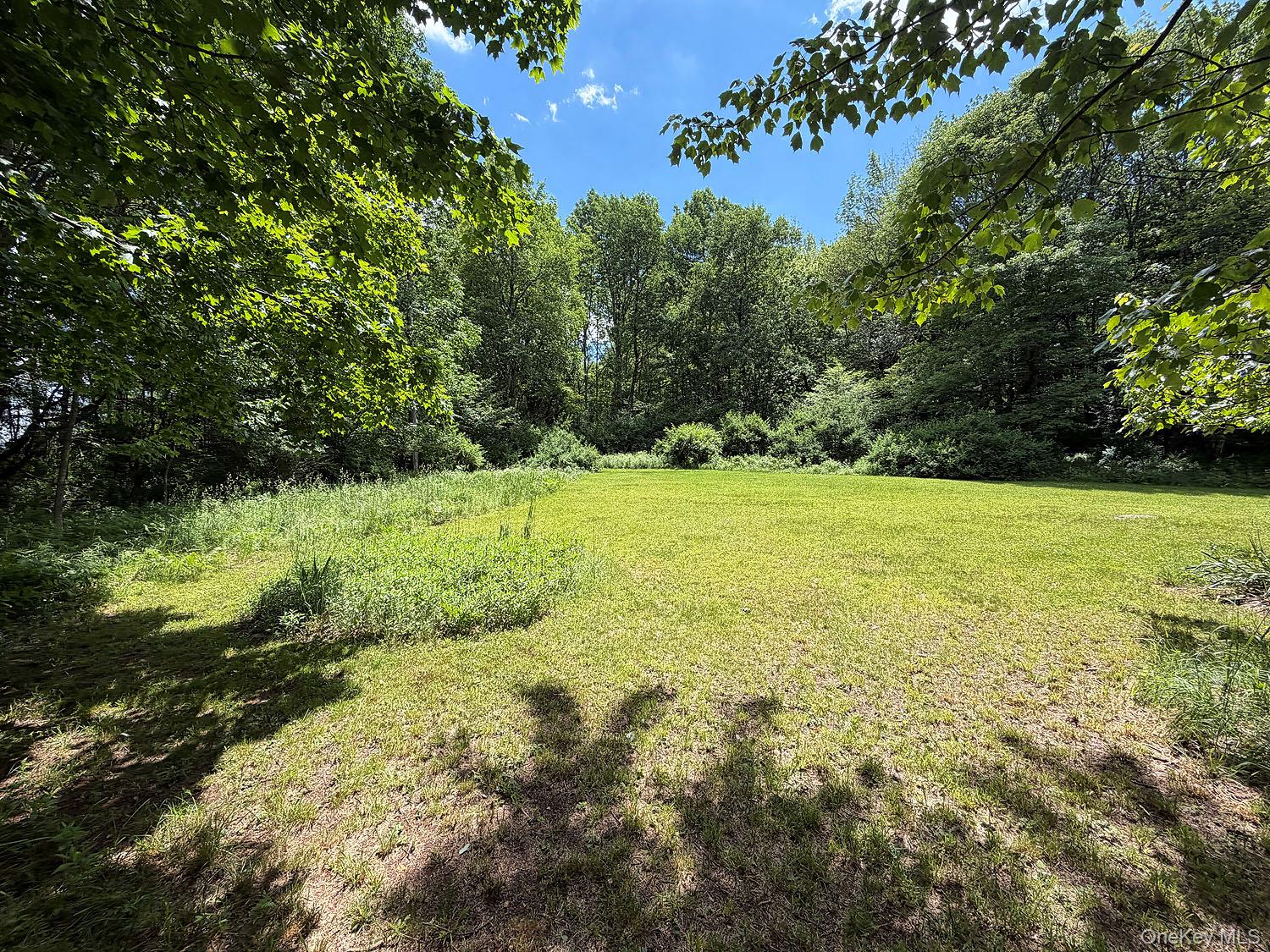 Blackberry Lake Road Property Photo 8