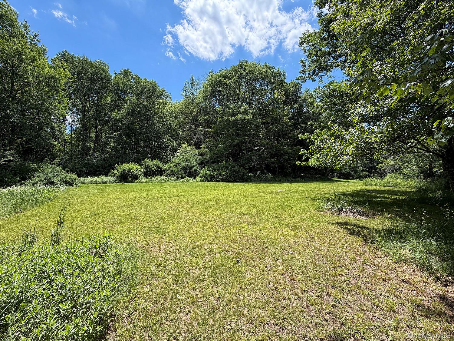 Blackberry Lake Road Property Photo 10