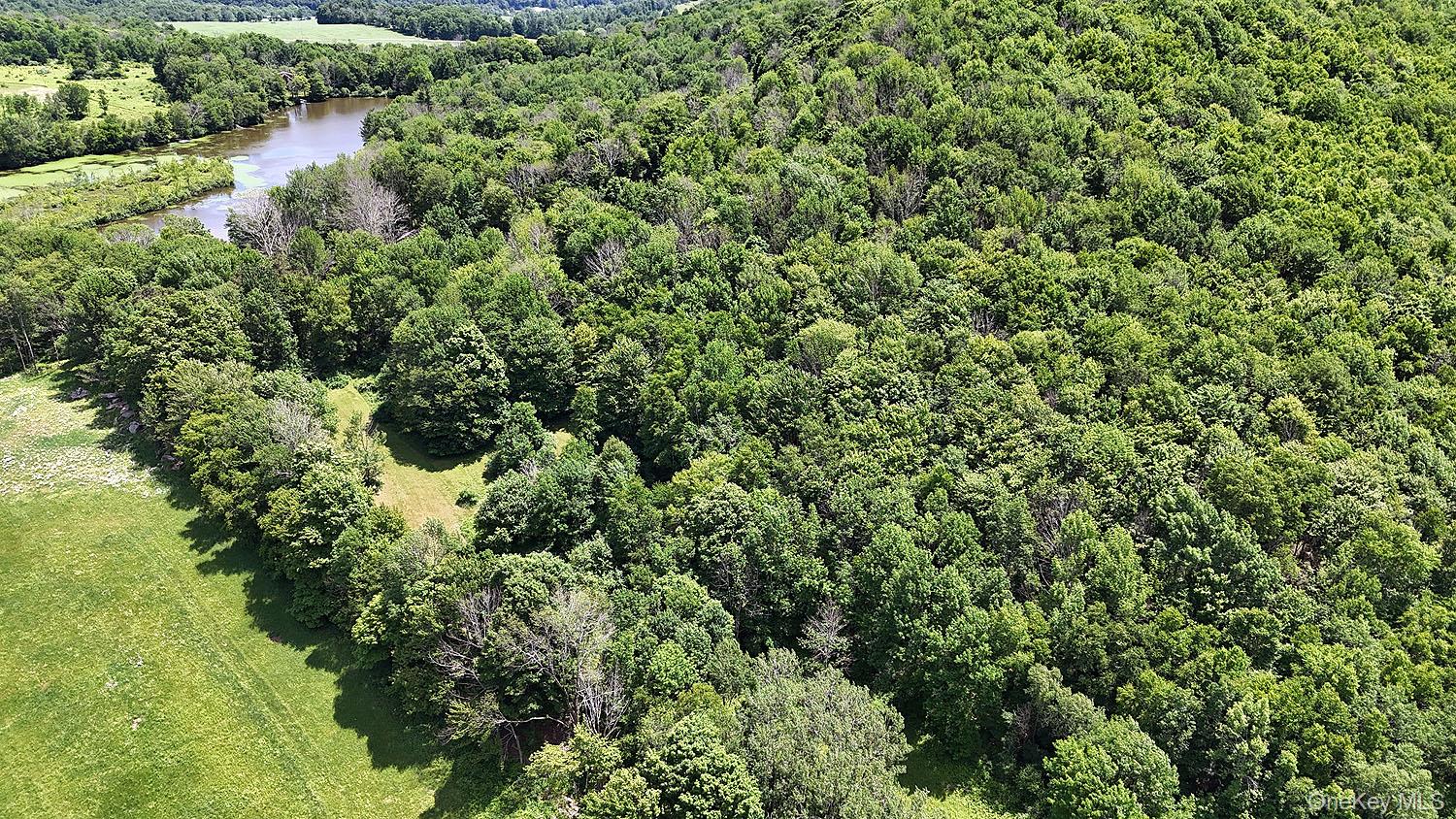 Blackberry Lake Road Property Photo 12