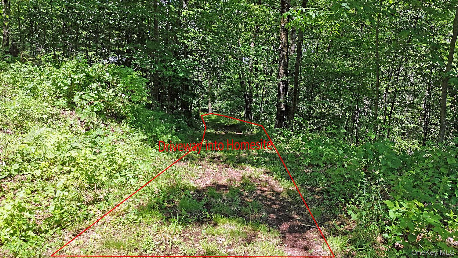 Blackberry Lake Road Property Photo 25