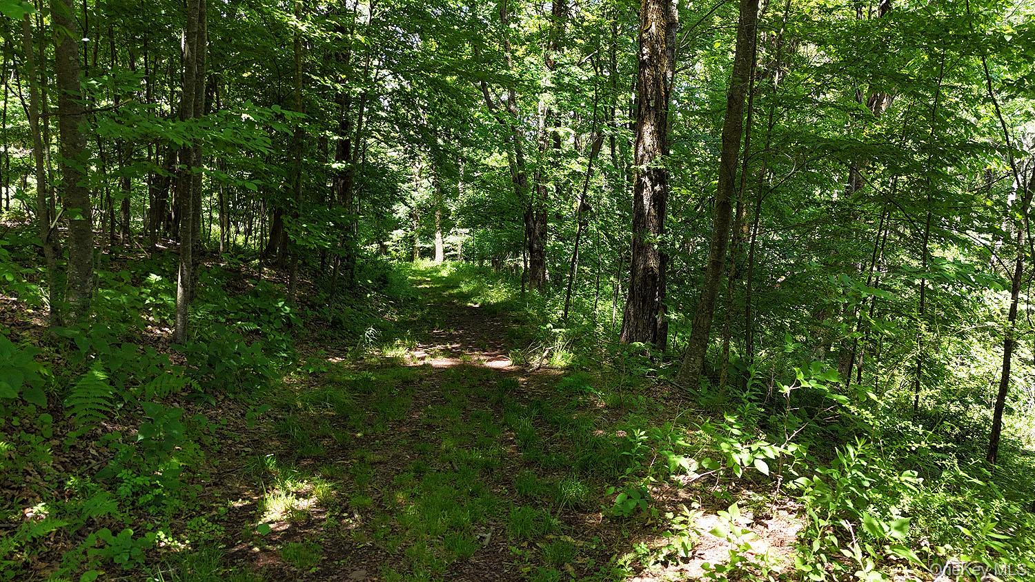 Blackberry Lake Road Property Photo 27