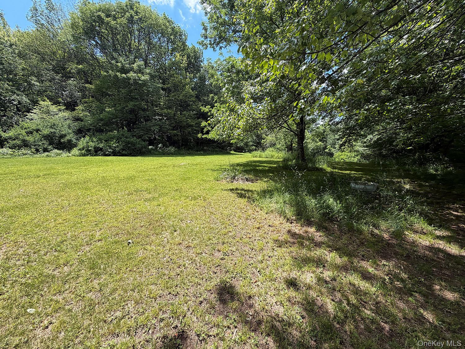 Blackberry Lake Road Property Photo 31