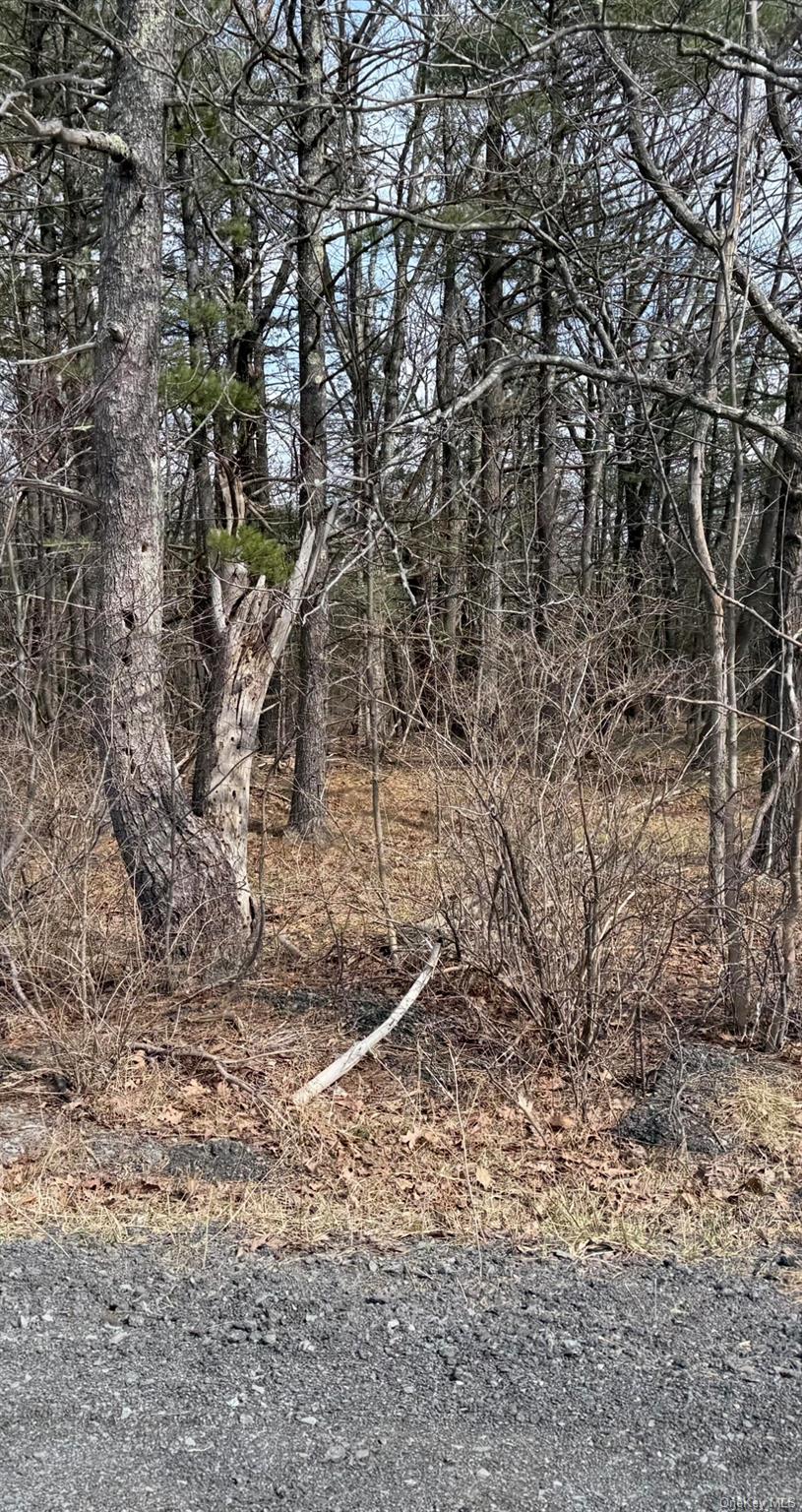 0 County Route 312 Road Property Photo 1