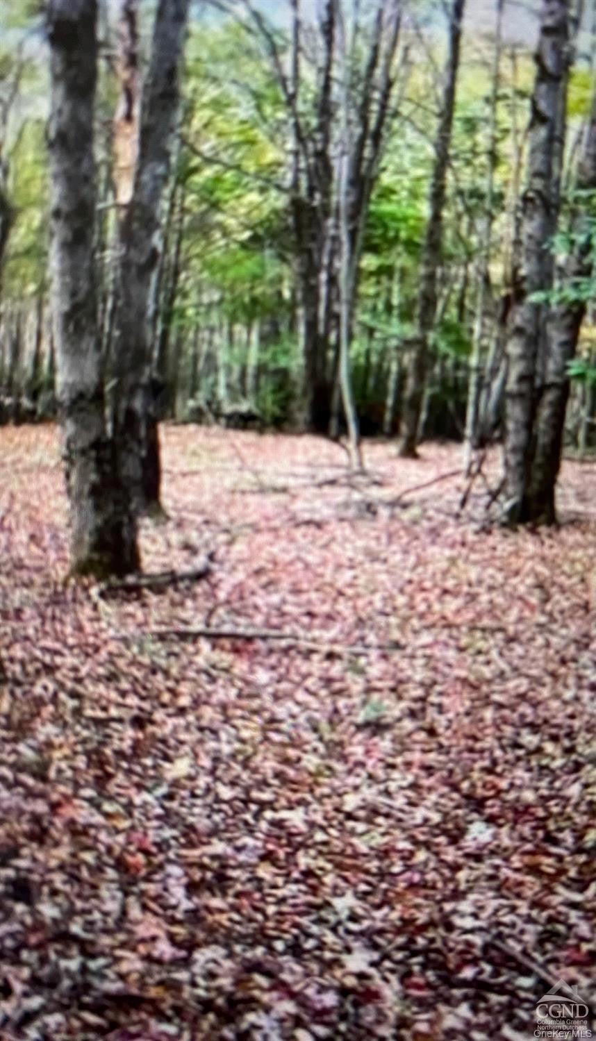 0 County Route 312 Road Property Photo 3
